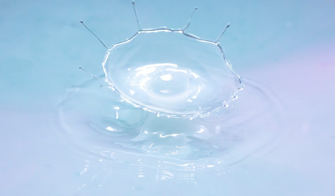 water drop in clear glass bowl